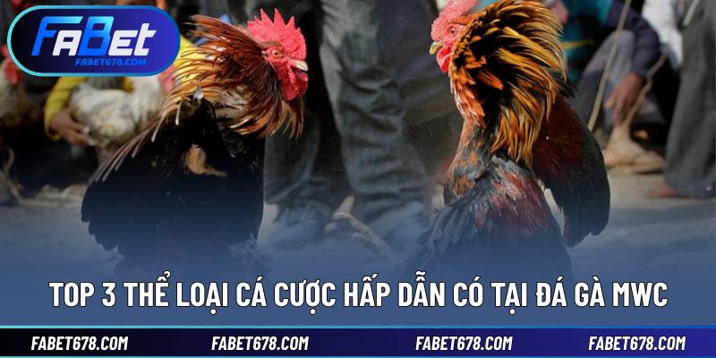 Top 3 thể loại cá cược hấp dẫn có tại đá gà MWC