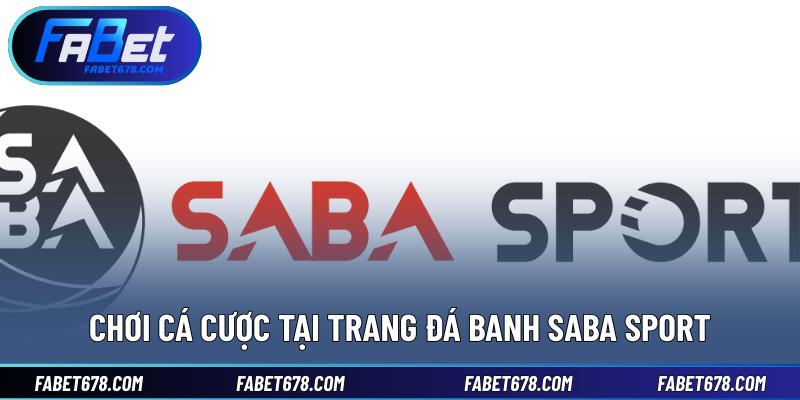 Chơi cá cược tại trang đá banh SABA Sport