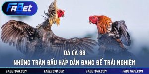 Đá Gà 88